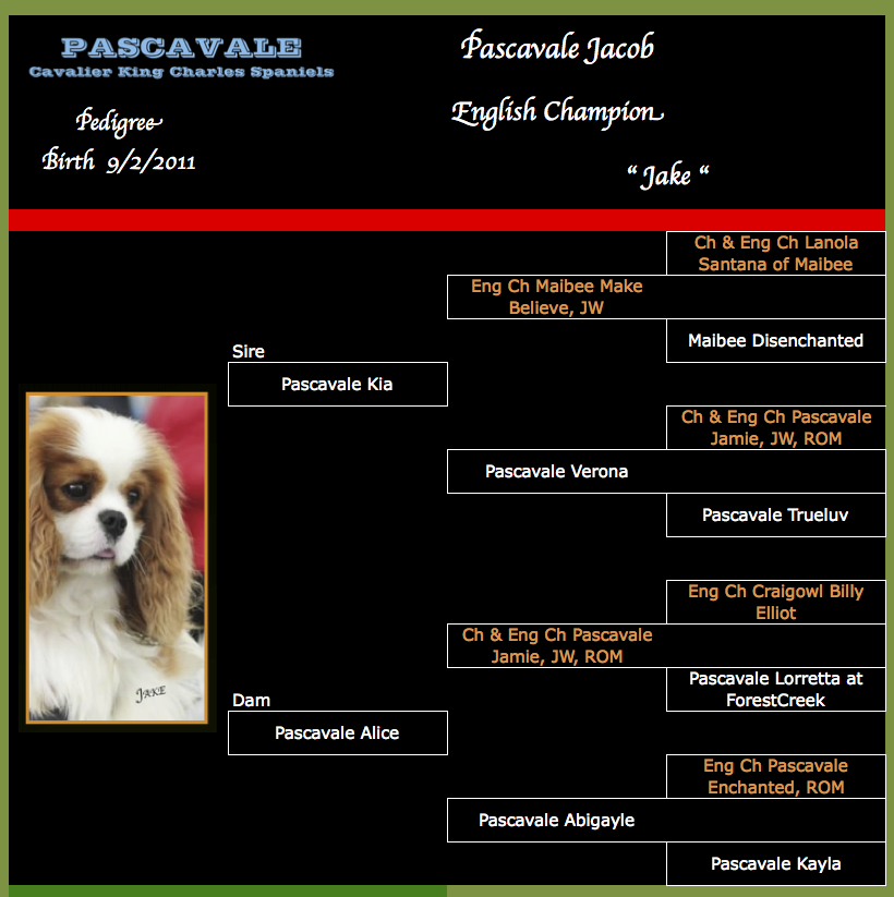 Jacob Pedigree