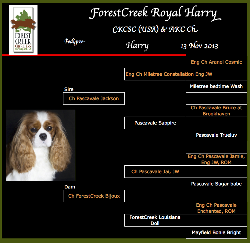 Royal Harry Pedigree